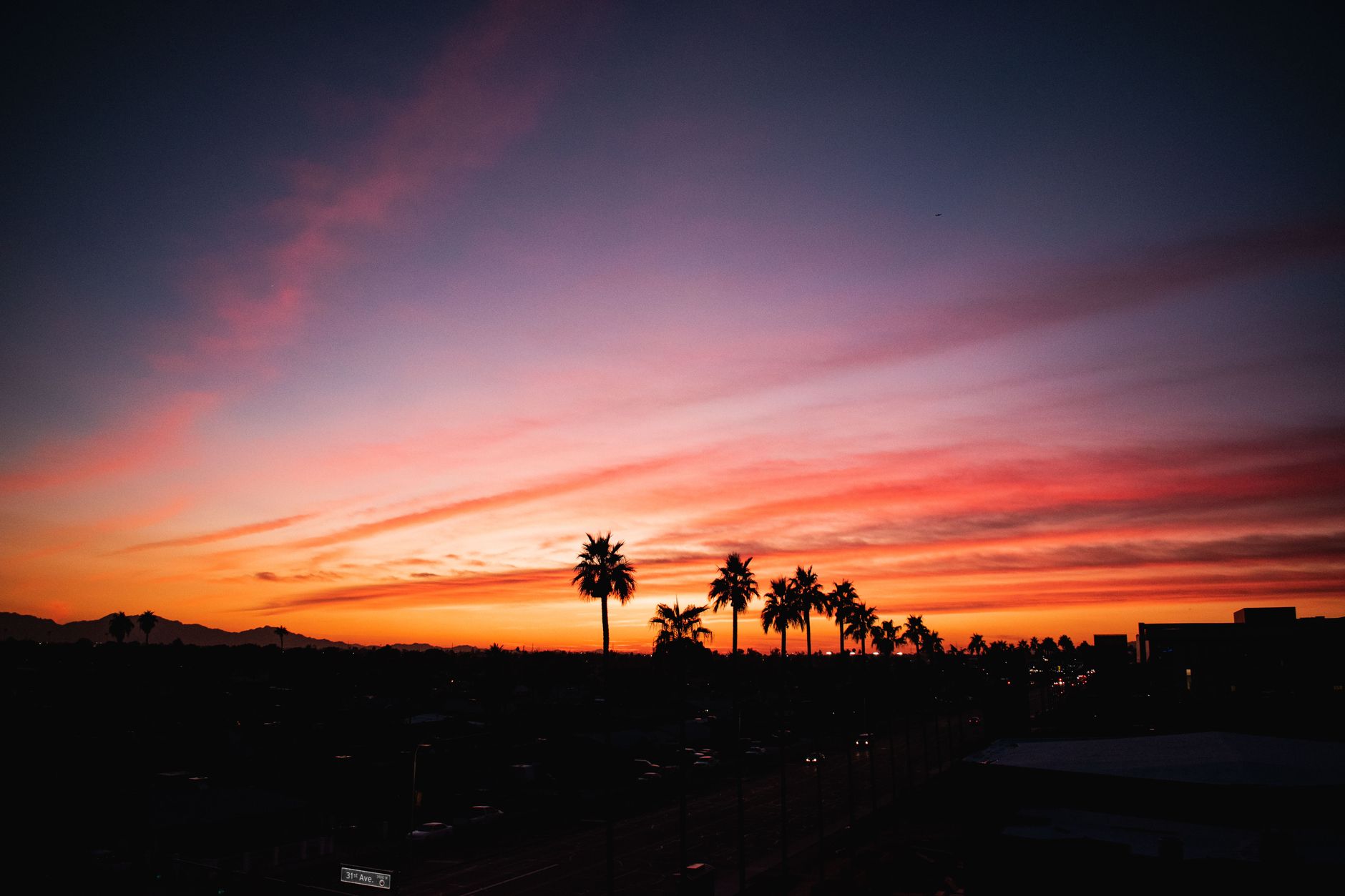 Palm trees silhouetted against an orange sunset over Phoenix, Arizona